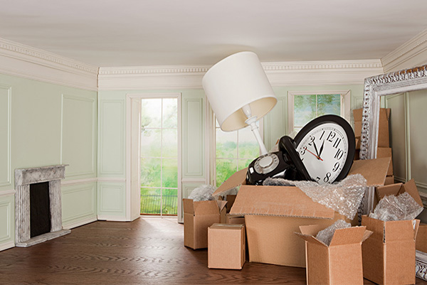 Monika Packers  and Movers